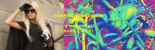 2c-b Кукмор
