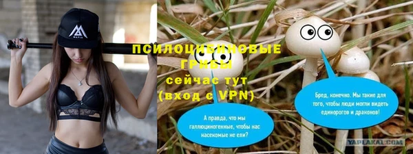 2c-b Кукмор